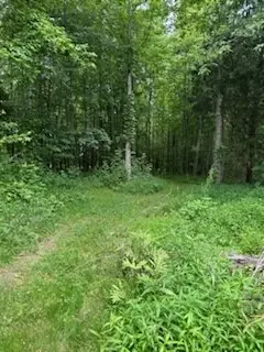 4850 Hyde Rd, Springfield, TN 37172 photo 4