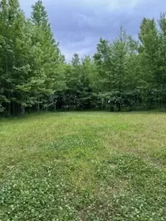 4850 Hyde Rd, Springfield, TN 37172 photo 11