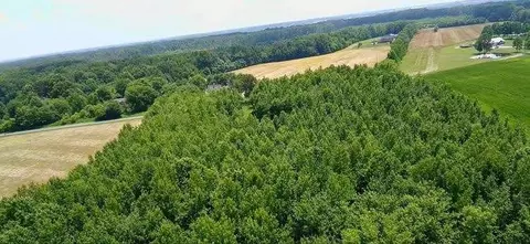 4850 Hyde Rd, Springfield, TN 37172 photo 2