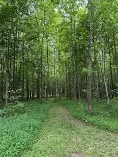 4850 Hyde Rd, Springfield, TN 37172 photo 12