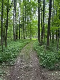 4850 Hyde Rd, Springfield, TN 37172 photo 9