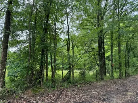 0 Caldwell Rd, Puryear, TN 38251