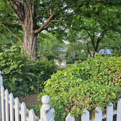 Exterior - 420 Madison St E, Pulaski, TN 38478 photo 6 of 11