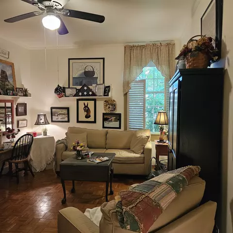 Living - 420 Madison St E, Pulaski, TN 38478 photo 3 of 3