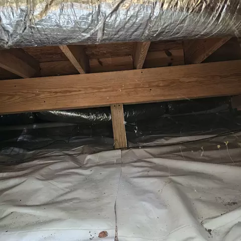 Other - 420 Madison St E, Pulaski, TN 38478 photo 6 of 7