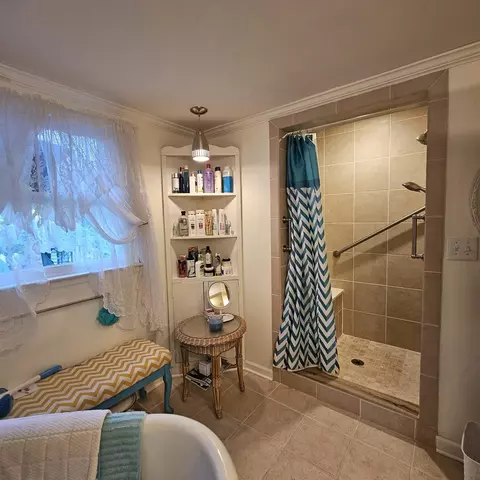 Bath - 420 Madison St E, Pulaski, TN 38478 photo 2 of 2