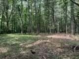 0 Franklin, Charlotte, TN 37036