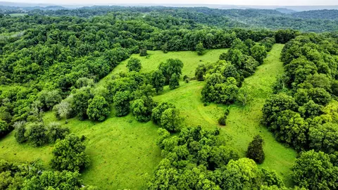 0 Beech Hill Rd, Pulaski, TN 38478