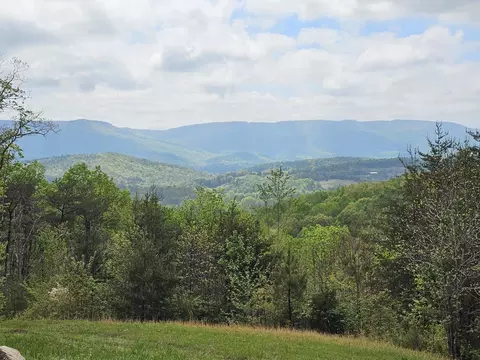 1036 Lee Station Mtn Rd, Pikeville, TN 37367
