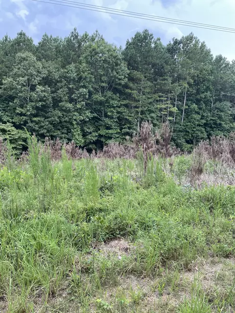 0 Ashmore Rd, Summertown, TN 38483