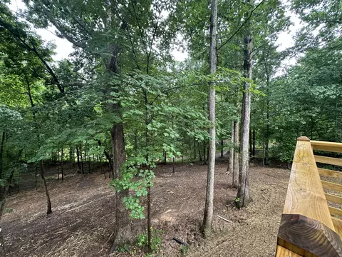1244 Bryant Perry Rd, Bethpage, TN 37022 photo 16
