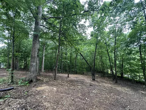 1244 Bryant Perry Rd, Bethpage, TN 37022 photo 7