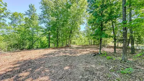0 Eagle Shr, Dover, TN 37058 photo 14