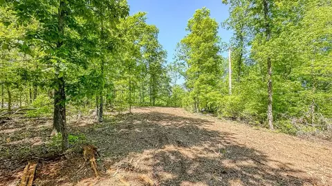 0 Eagle Shr, Dover, TN 37058 photo 10