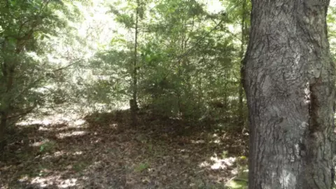 0 Zion Hill Rd, Cookeville, TN 38506
