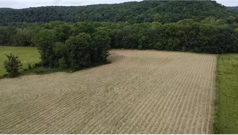 4509 Swan Creek Rd, Centerville, TN 37033