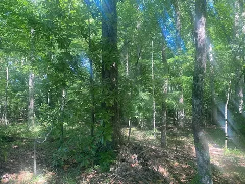 0 Hunter, Fayetteville, TN 37334