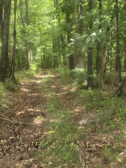 Other - 0 England Rd, Dickson, TN 37055 photo 10 of 12