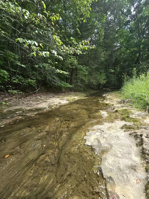 Other - 0 England Rd, Dickson, TN 37055 photo 2 of 12