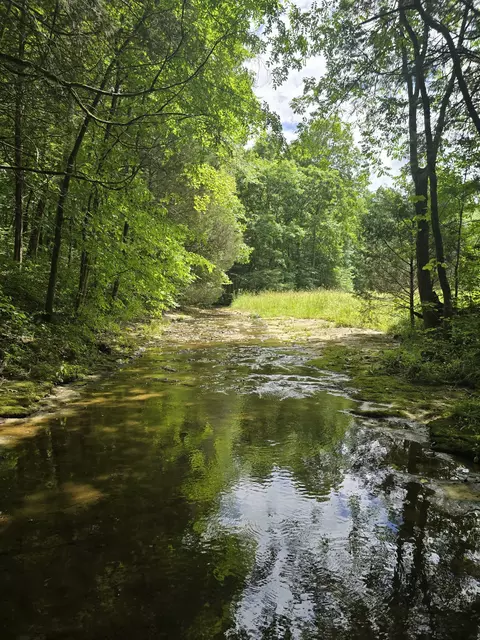 View/Area - 0 England Rd, Dickson, TN 37055 photo 1 of 14