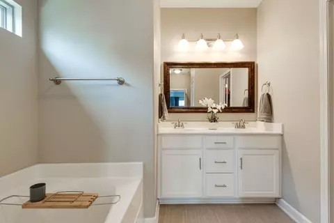 Bath - 7003 Nickalus Way, Spring Hill, TN 37174 photo 2 of 3