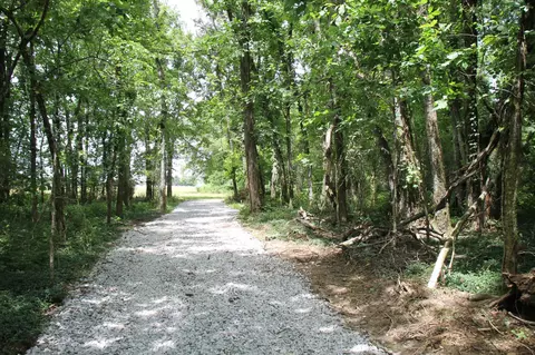 0 Bass Rd Tract 7, Bethpage, TN 37022