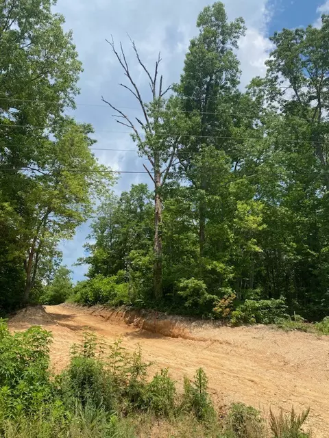267 Railroad Bed Rd, Summertown, TN 38483