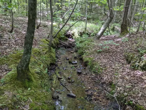 0 Cane Creek Rd, Hohenwald, TN 38462