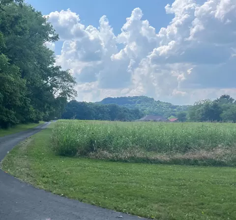 0 Fuller Rd, College Grove, TN 37046