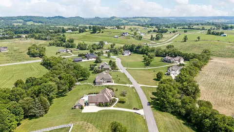 View/Area - 118 Tom Walker Dr, Beechgrove, TN 37018 photo 4 of 6