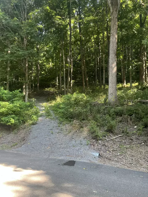 1030 Shoreside Dr, Smithville, TN 37166