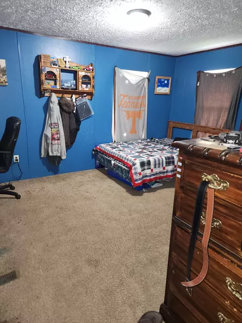 2228 Parker Rd, Morrison, TN 37357 photo 10