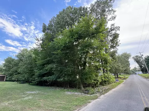 0 Antioch Harbor Rd, Springville, TN 38256