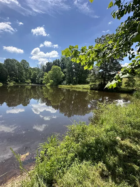198 Womack Rd, Portland, TN 37148