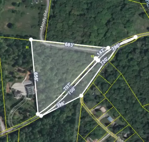 606 Town Branch Rd, Charlotte, TN 37036