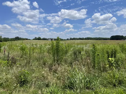 5243 Fred Perry Rd, Springfield, TN 37172 photo 1