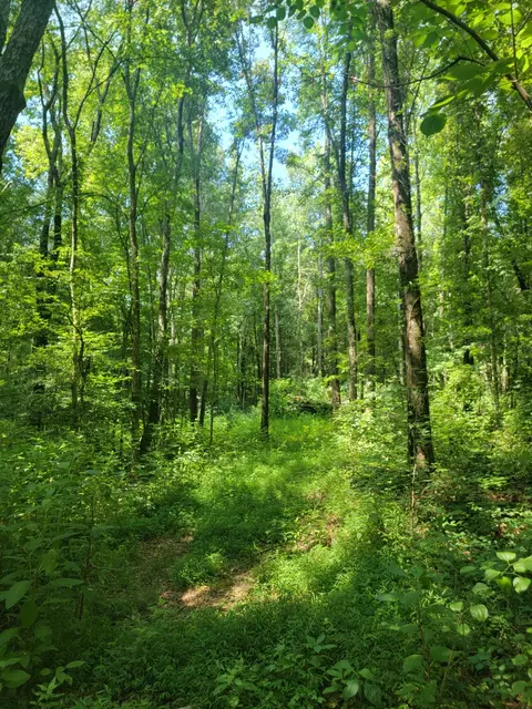 2 Tina Ln, Hillsboro, TN 37342