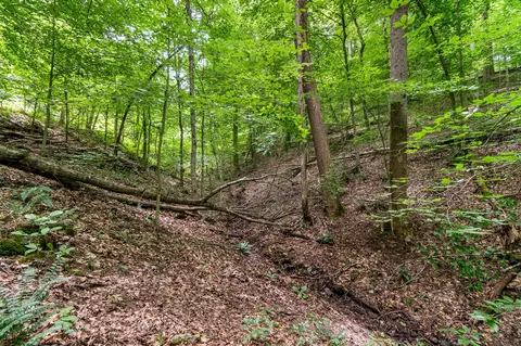 136 Pack Annex Rd, White Bluff, TN 37187 photo 51