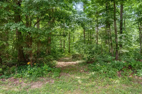 136 Pack Annex Rd, White Bluff, TN 37187 photo 52