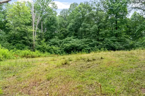 136 Pack Annex Rd, White Bluff, TN 37187 photo 48