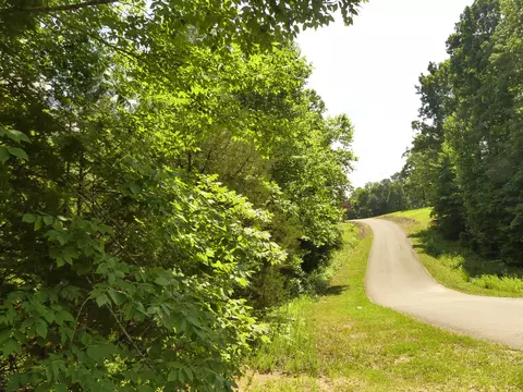 0 Beaver Ln, Parsons, TN 38363