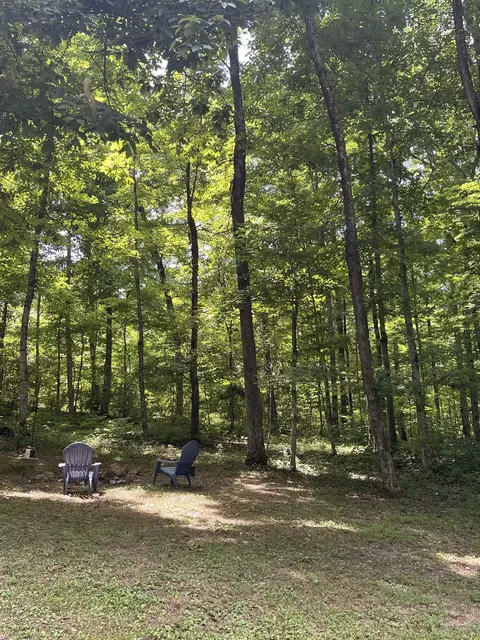 238 E Piney Rd, Dickson, TN 37055 photo 13