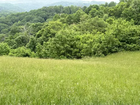 31 Rock Fish Rd # E, Hilham, TN 38568 photo 7