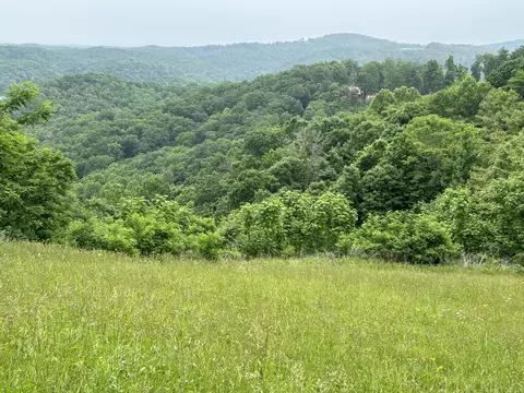 31 Rock Fish Rd # E, Hilham, TN 38568 photo 9