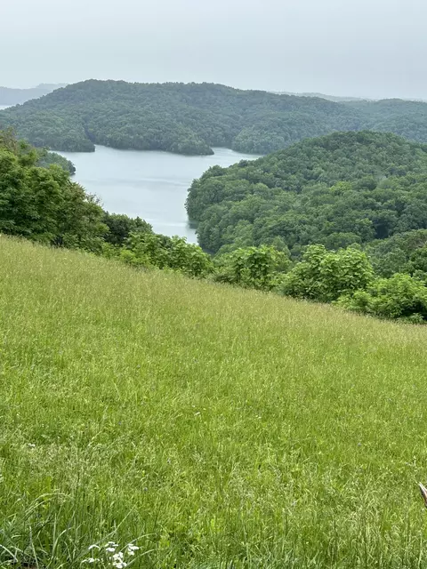 31 Rock Fish Rd # E, Hilham, TN 38568 photo 3