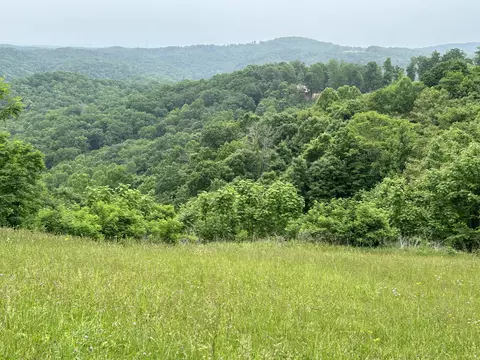 31 Rock Fish Rd # E, Hilham, TN 38568 photo 8