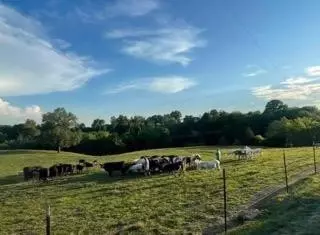 20 Fowler Ln S, Brush Creek, TN 38547