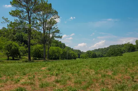 205 Young Rd, Pulaski, TN 38478 photo 8