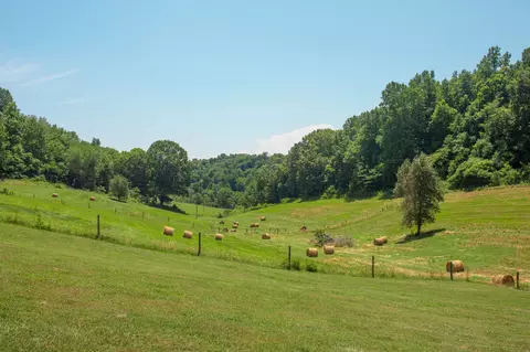 205 Young Rd, Pulaski, TN 38478 photo 56