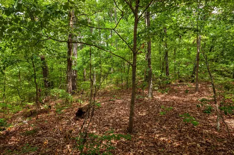 0 Hickman Spgs, Centerville, TN 37033 photo 24